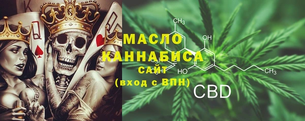 mix Богородицк